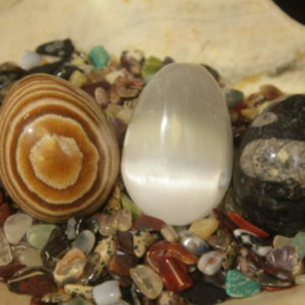 3 Pack Selenite, Aragonite, and Orthoceras eggs