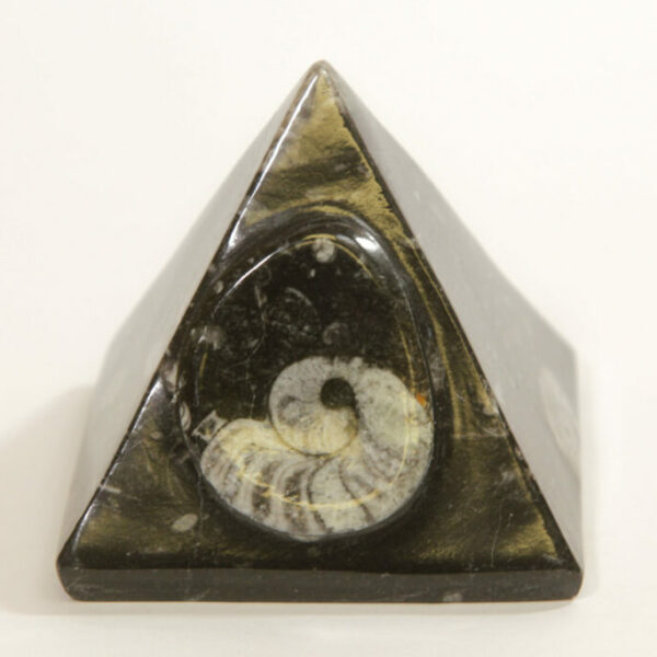 Orthoceras Pyramid